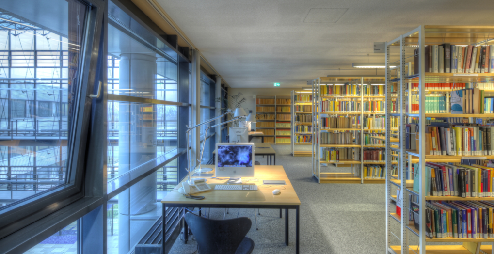 The Library at the Albert Einstein Institute