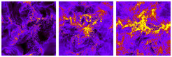 Snapshots at different times of a simulation of the energy density of a driven turbulent flow in a hot plasma. Bright regions represent portions of the flow with the largest energies and temperatures.