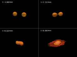Numerical-relativistic simulation of two inspiraling and merging neutron stars. Higher densities are shown in orange, lower densities are shown in red.