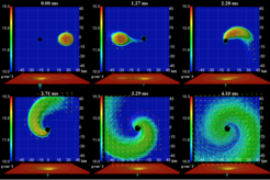 Merger of a black hole-neutron star binary